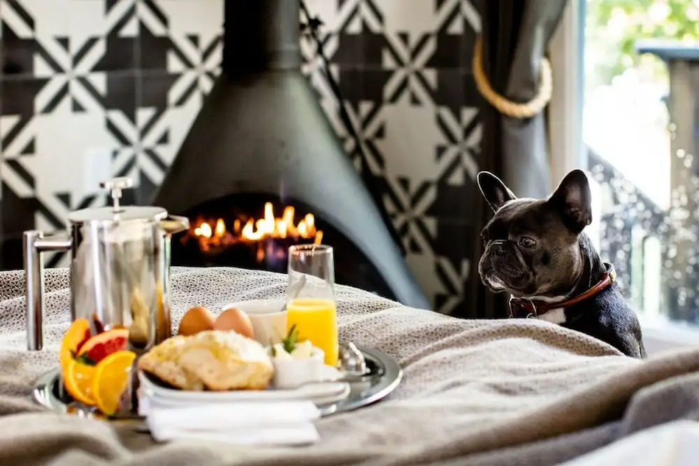 boon hotel + spa