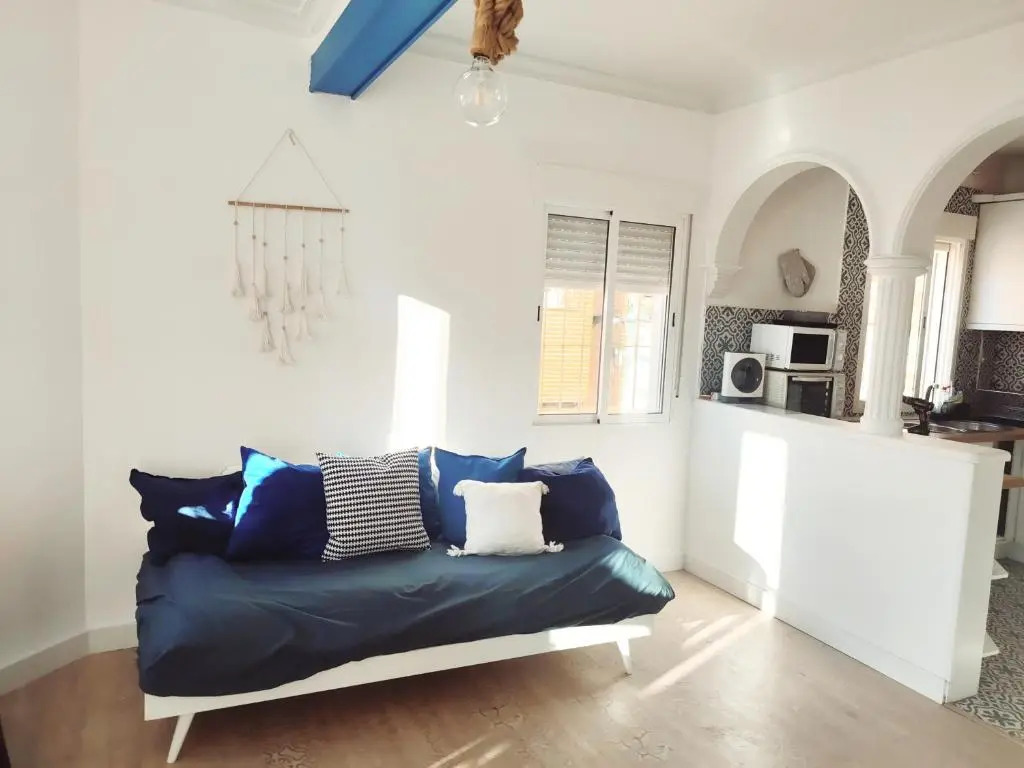 Penthouse duplex with private terrace and cine room 24h entrance