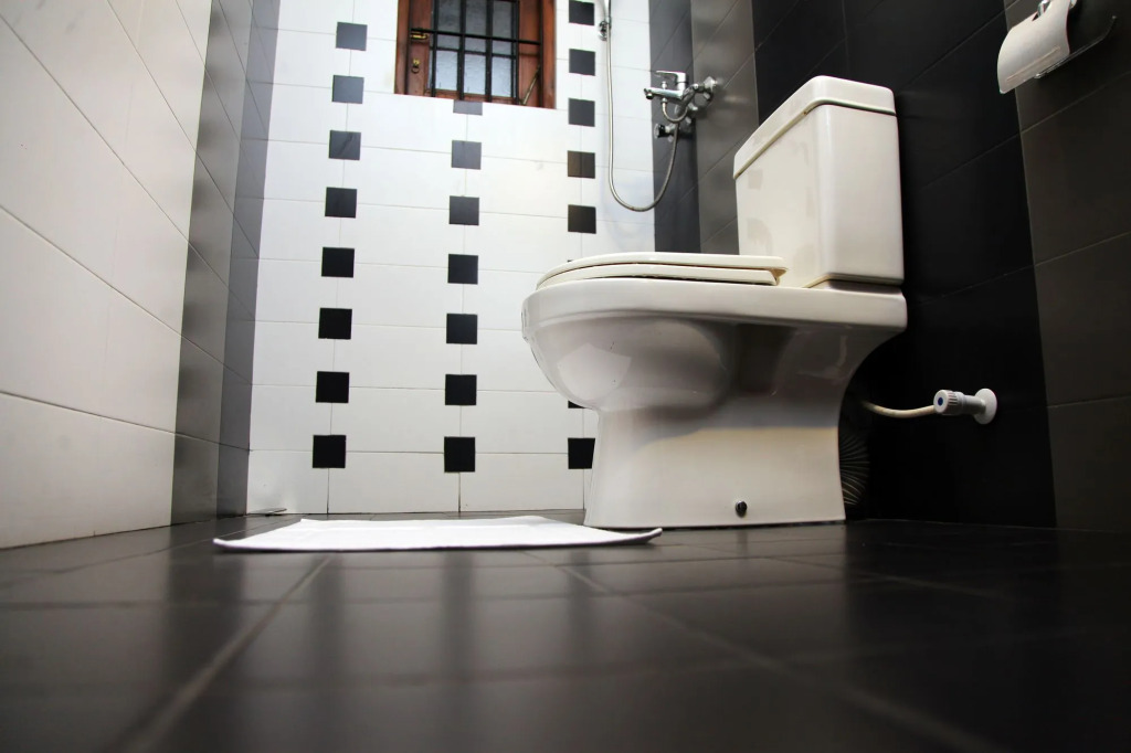 Rohini Residence