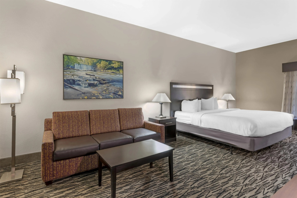 Best Western Plus McDonough Inn & Suites