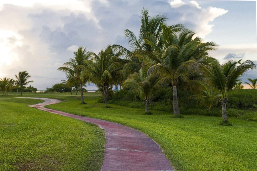 Las Gaviotas Hotel and Suites