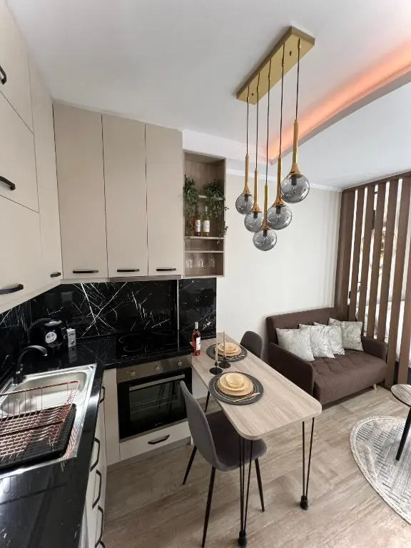 Cozy Downtown Apartment