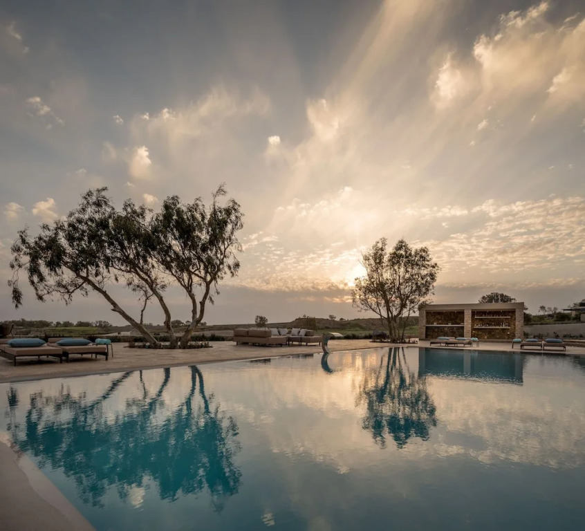 Phaos at Cellaria Estate