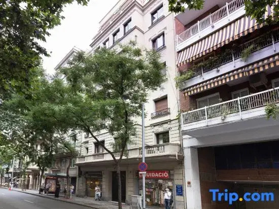 Apartment Mirland