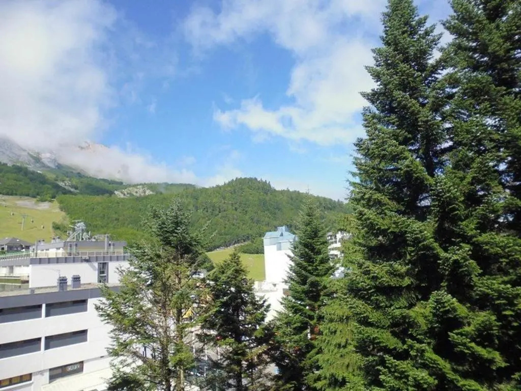 Appartement Gourette, 1 pièce, 6 personnes - FR-1-400-63