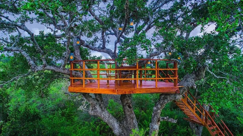 The Sanctuary Yala