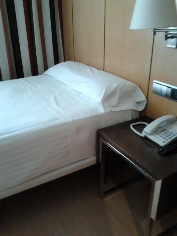 Hotel Feria