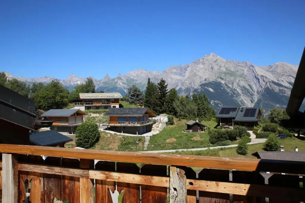 Terrasses du Paradis 7A LUXE & CENTER apart 8 pers
