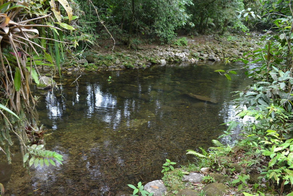 Sobrado novo com varanda e deck com churrasqueira, na beira do rio das Pedras, 2 salas, 3 suites 2 quartos, 4 banheiros, cozinha completa ,lavanderia e estacionamento para 4 carros