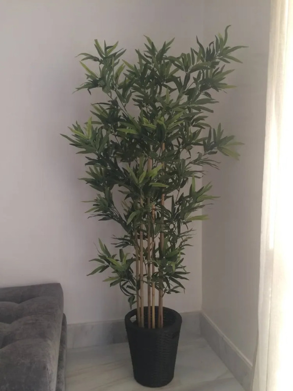 Lovely Furnished Apartment -b.new @ Maarif/ghandi