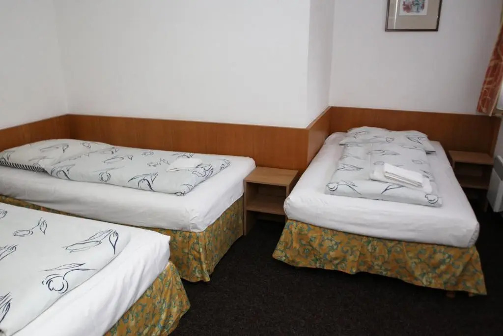 Hotel Skála