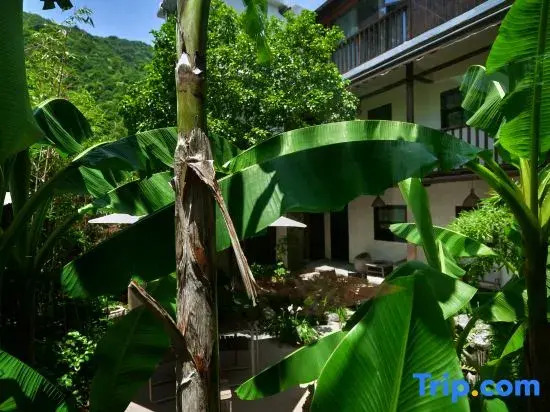 Jingdezhen Two Date Trees Villa(Sanbao International Ceramic Village)