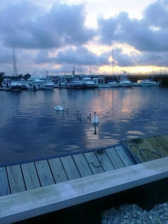 Seaport Resort and Marina