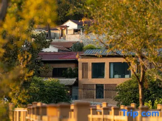 Rareyard  Liushigang