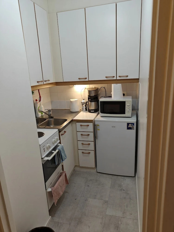 Pet-friendly 4 Bed Apt in Turku With Park Views