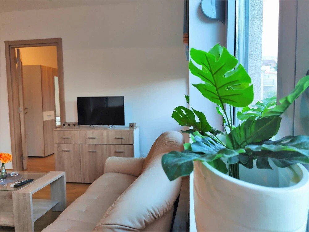 Pavlina Apartments Budva