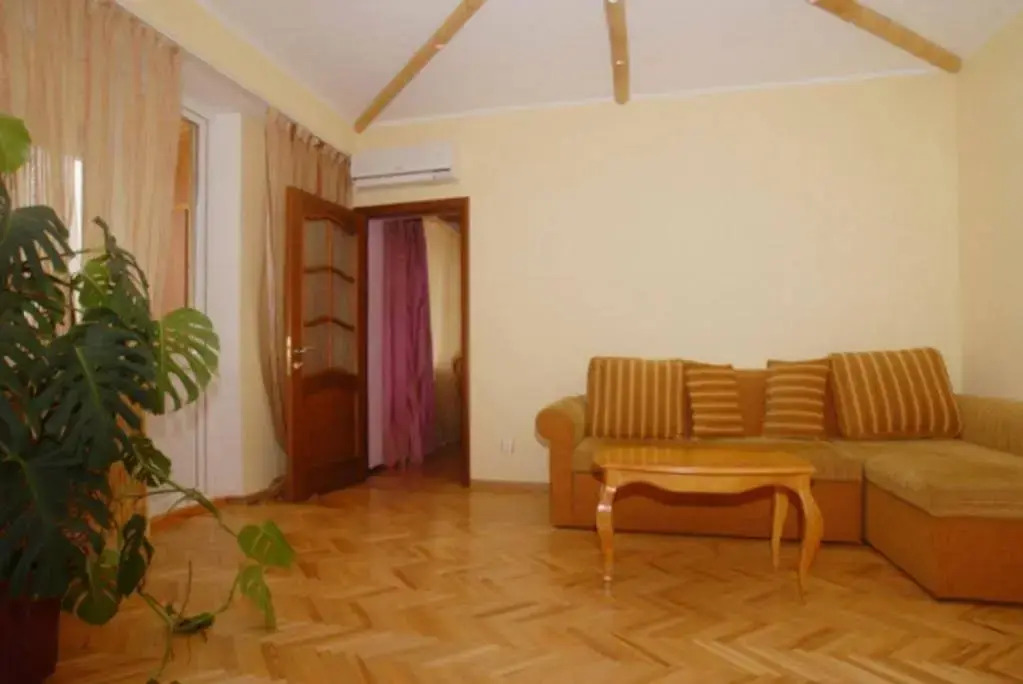 Spacious and Cosy Apartment