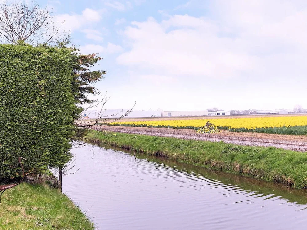 Deluxe Holiday Home in Noordwijk by the Forest