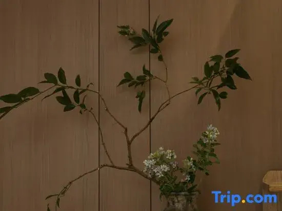 Southern Chinese Inn (Jianshui Ancient City)