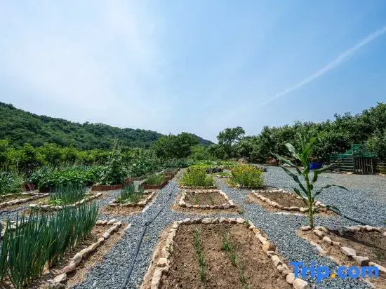 Xiangwang Courtyard (Tianjin Jizhou Limutai)