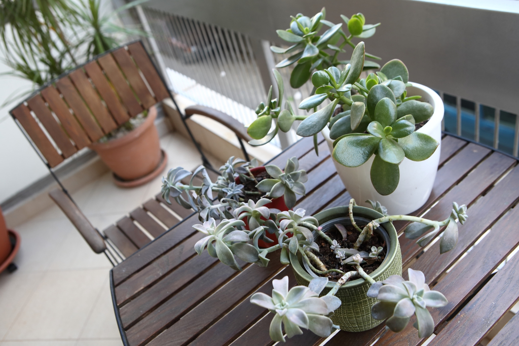 Best House, Athens Central Flat, Ithakis Str