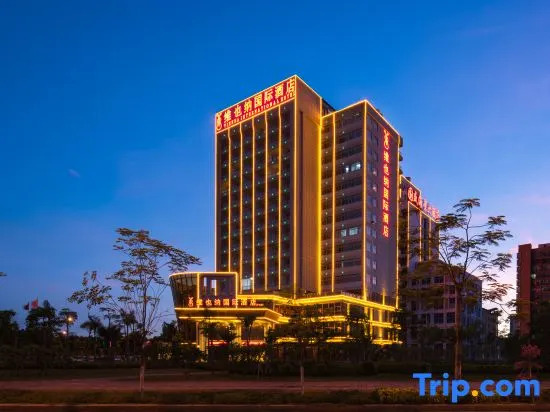 Vienna International Hotel (Danzhou Yangpu)