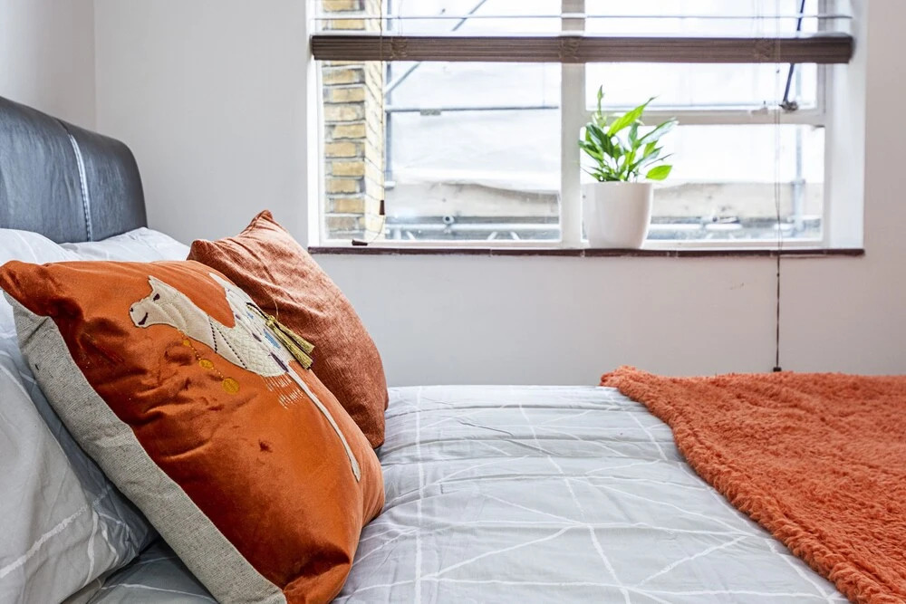 Studio Flat near Victoria Station
