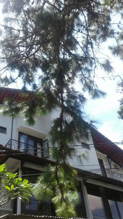 Thao Hoang Hotel