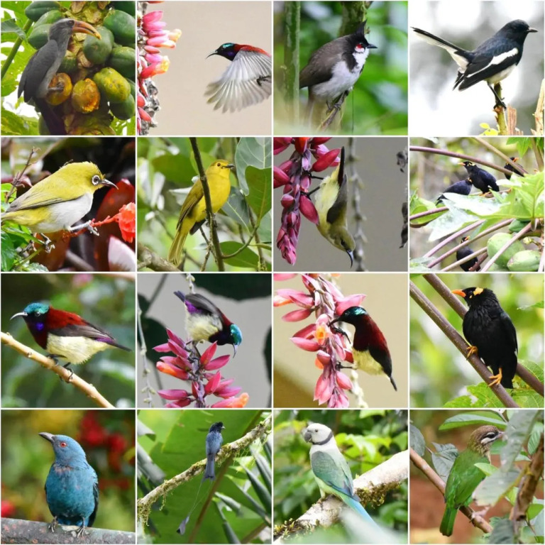 Flower Valley Plantation Homestay