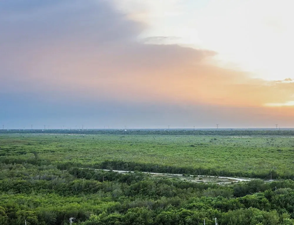 Distrito Puerto - Ocean & Mangrove Views