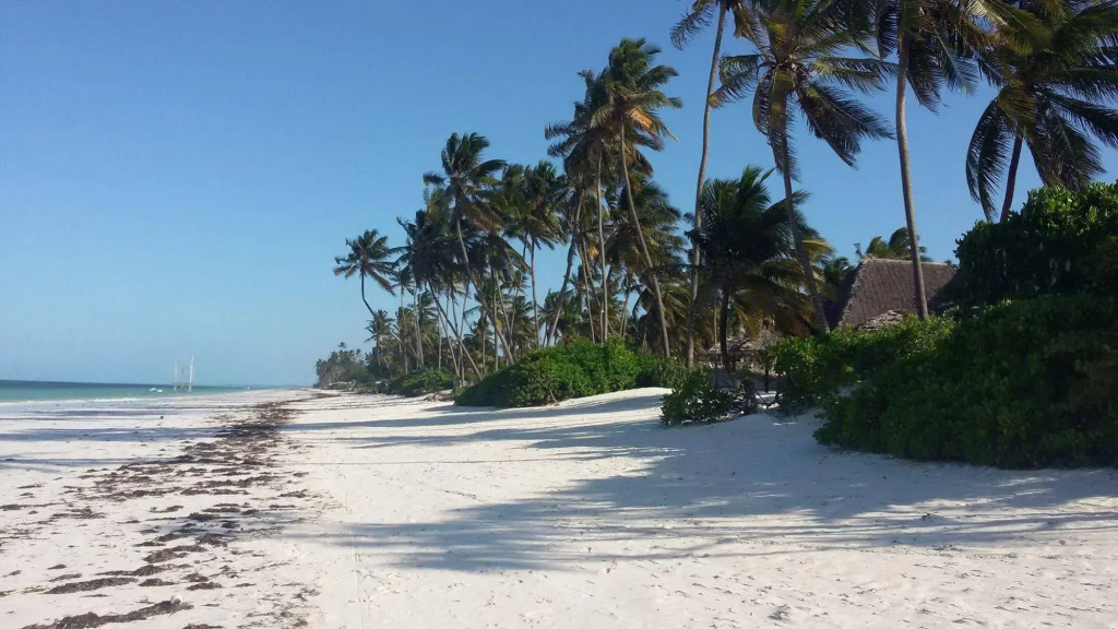 Five Palms Bwejuu