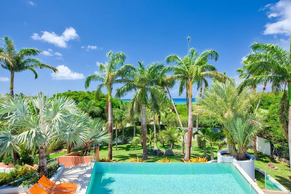 Palmita