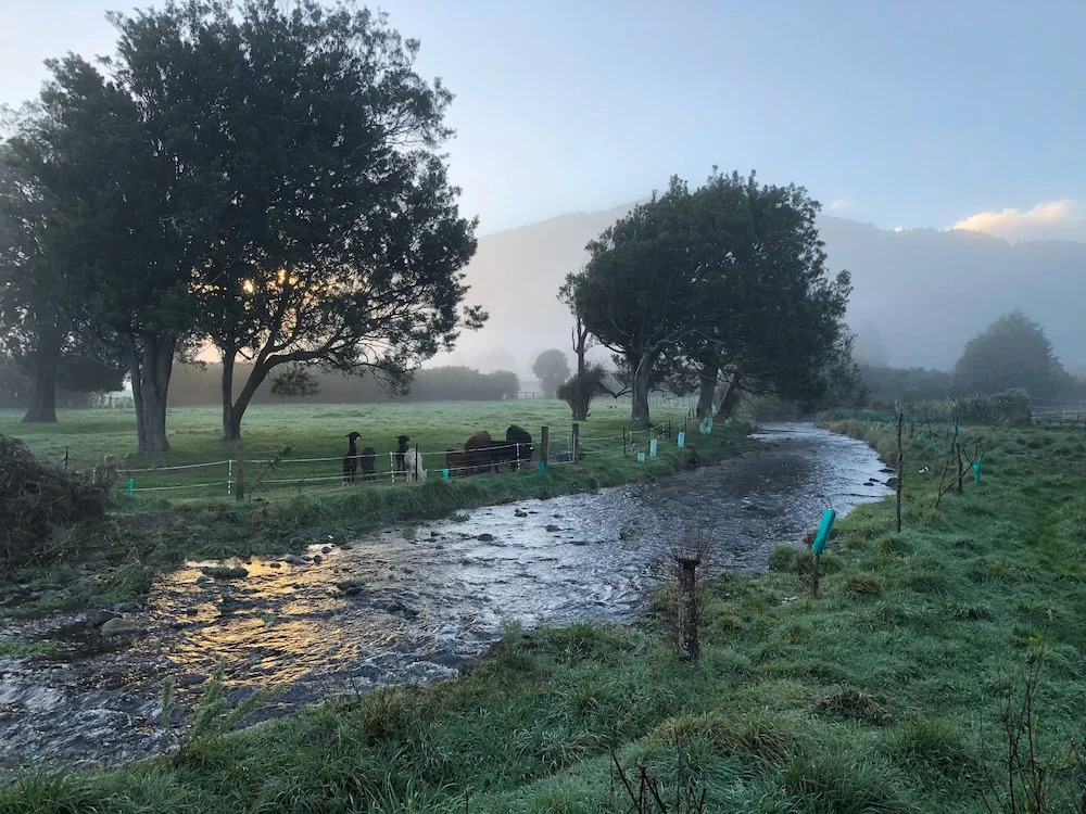 Narrow Neck Creek Farmstay and B&B