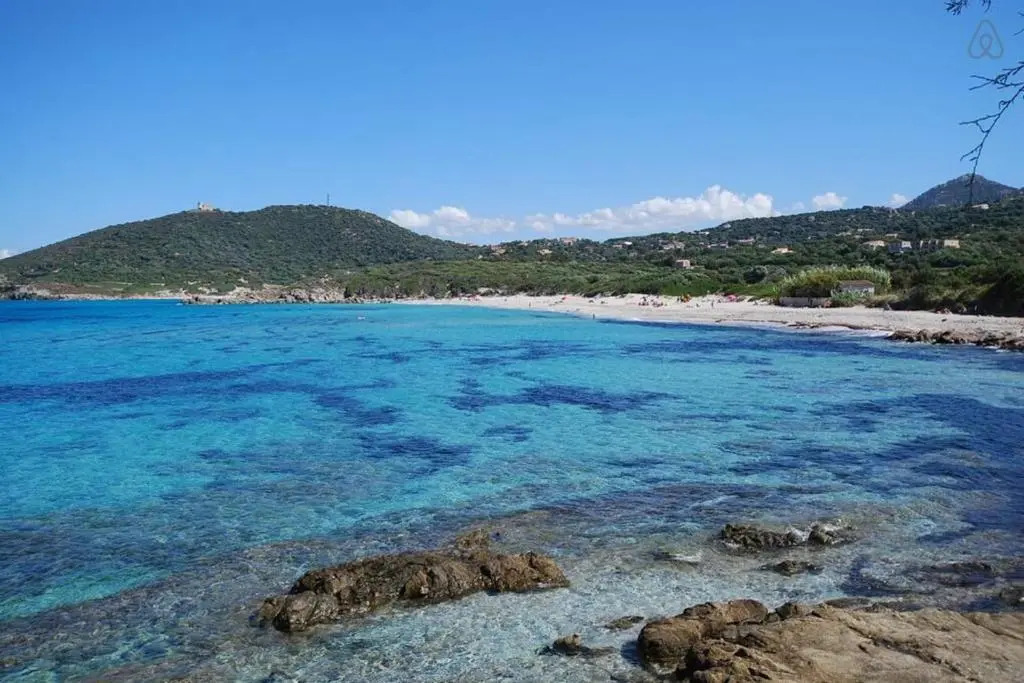 L'orangeraie Calvi centre à 300m de la plage et du port parking privé