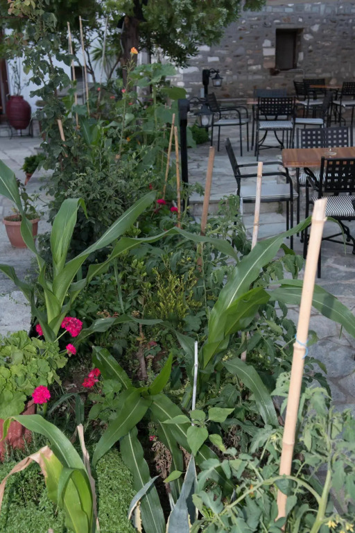 Kleitsa Guesthouse