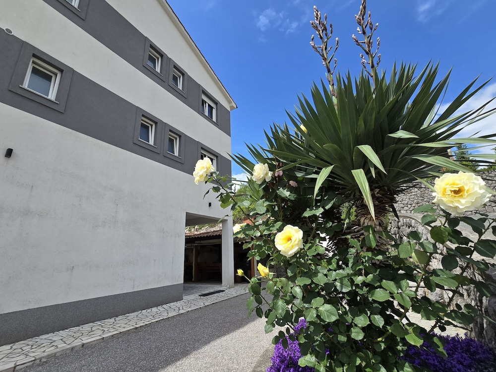 Apartment Letica