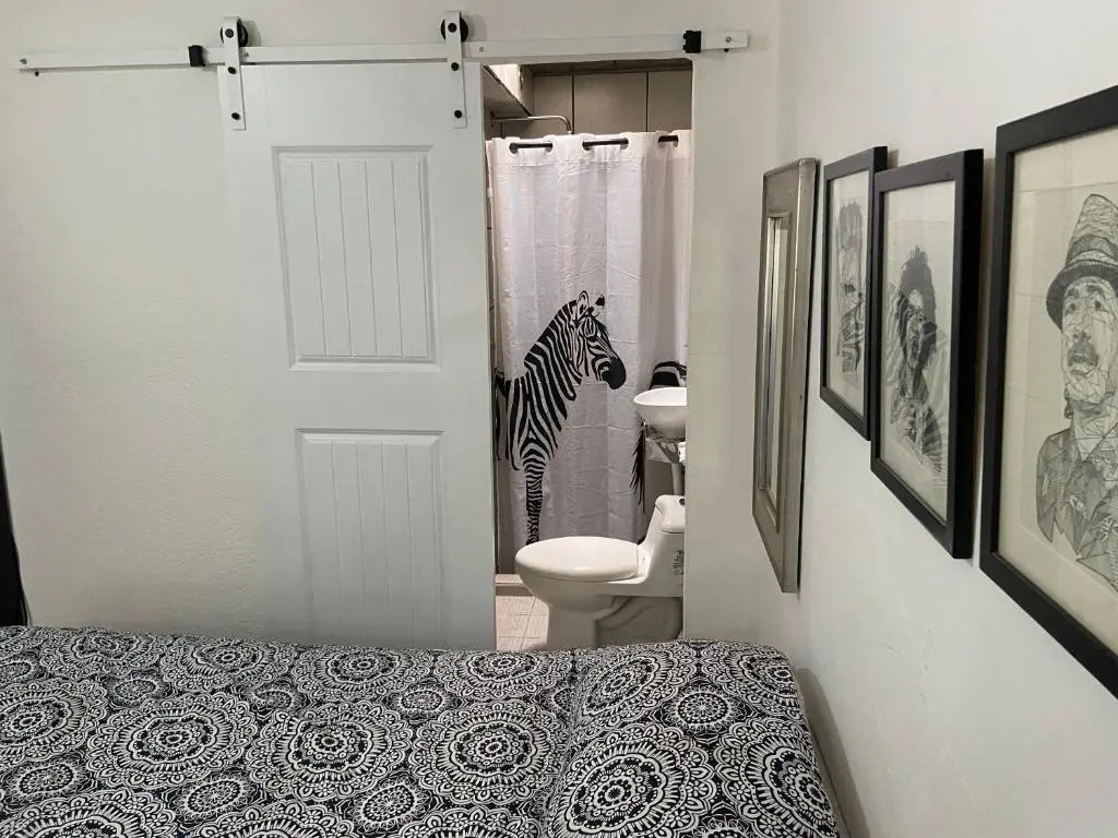 Zebra Studio
