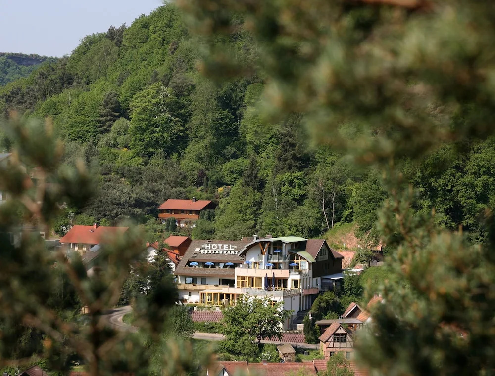 Hotel Am Hirschhorn - Wellness - Spa - and more