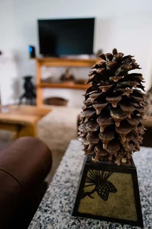 Pinecone Getaway