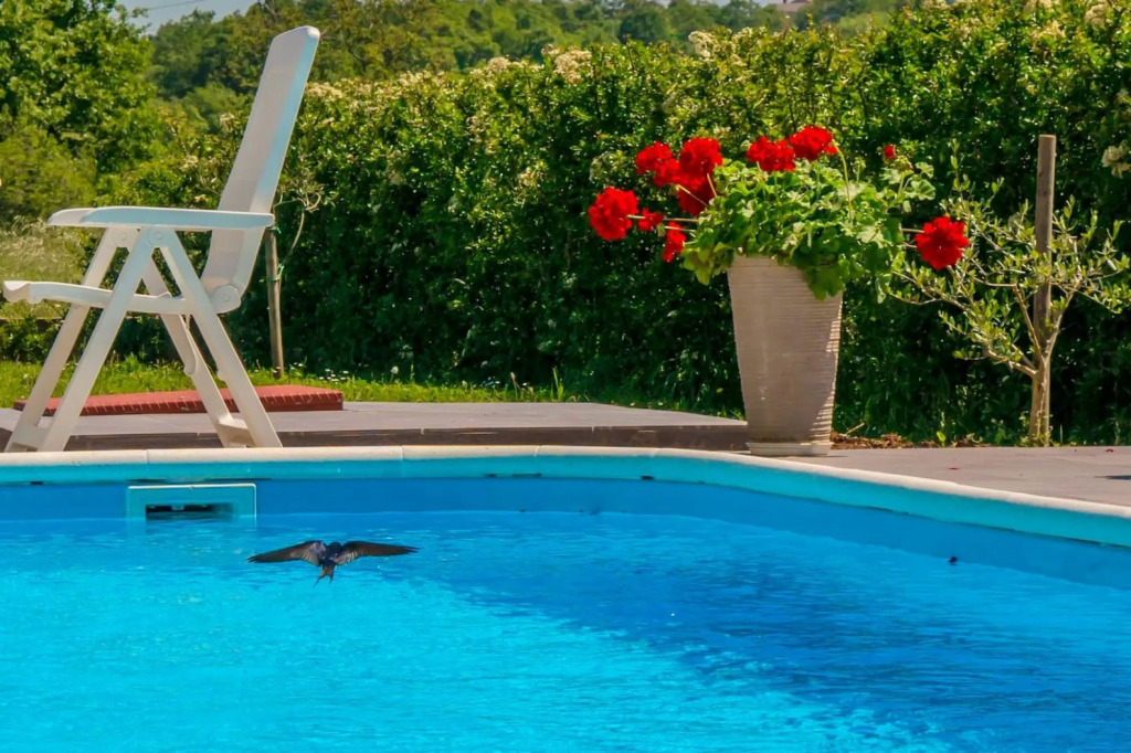 Marinko - With Pool - A1