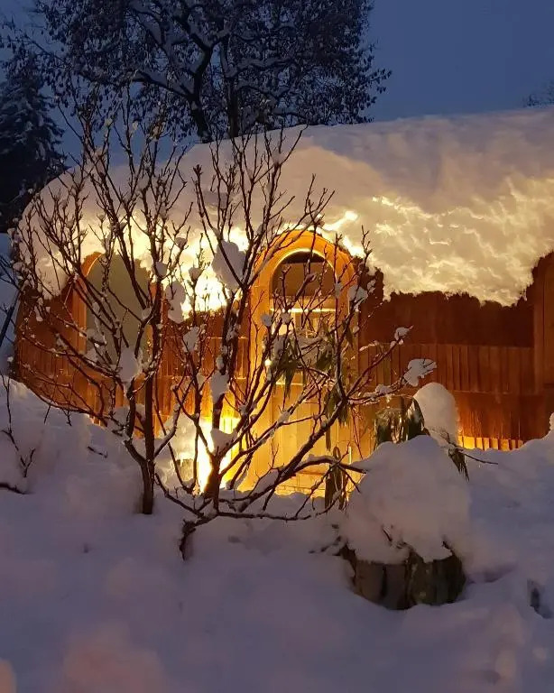 Tiny House Igluhut
