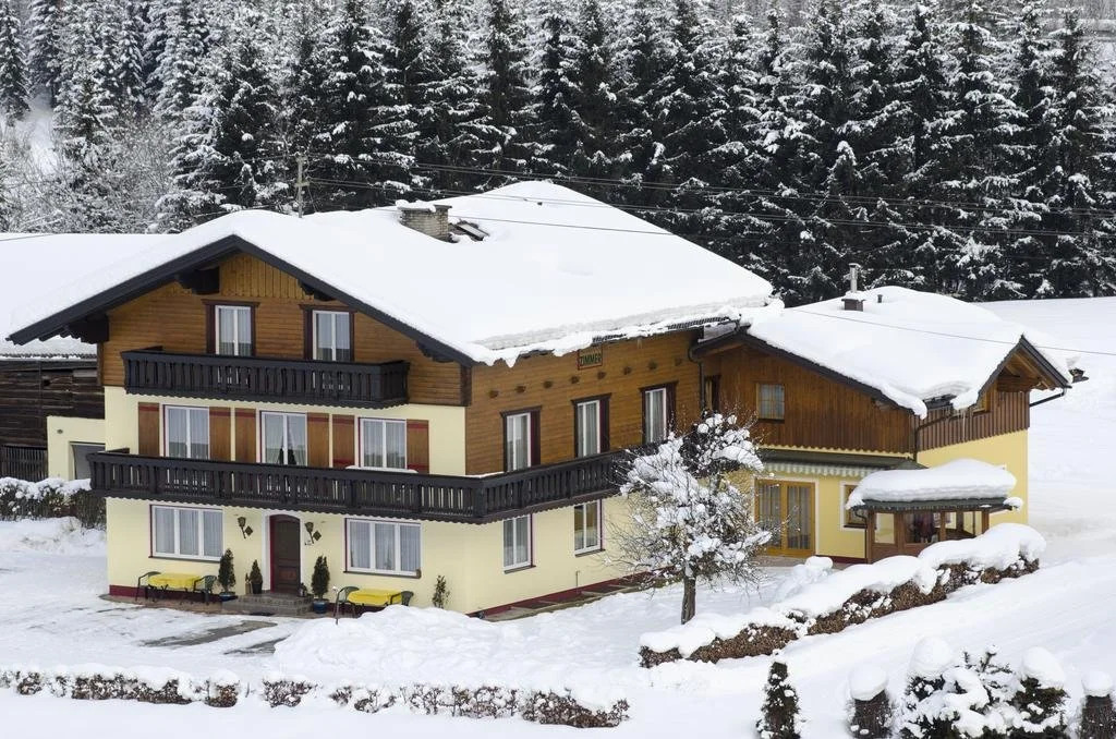 Haus Dachstein Schnitzer