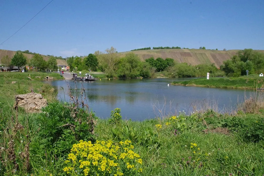 Weingut & Ferienwohnungen Kirch