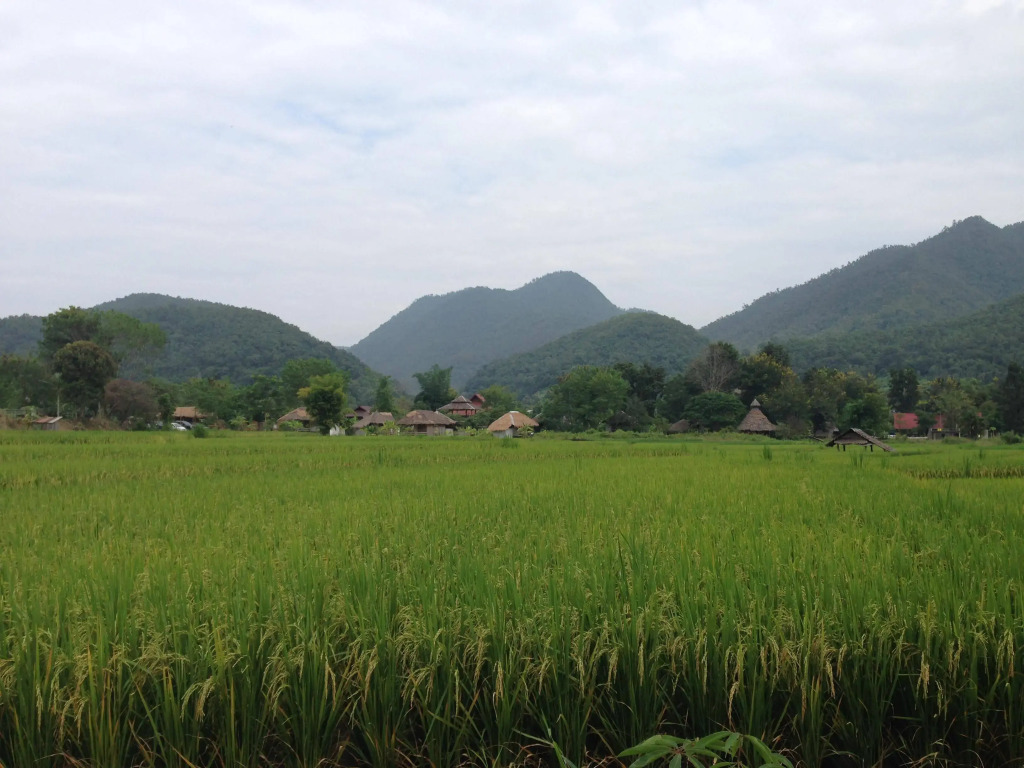 Pai Chan Cottage & Cuisine