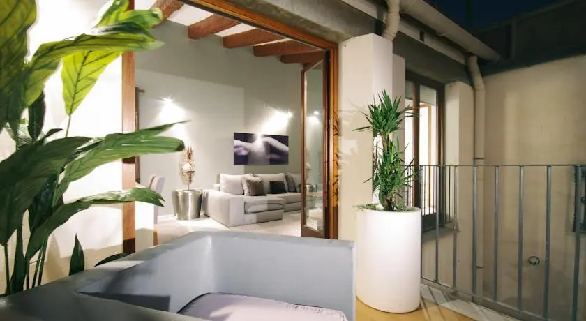 Valencia Luxury Ciutat Vella Penthouse
