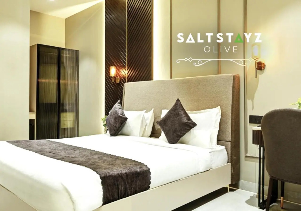 Saltstayz Select - Pitampura