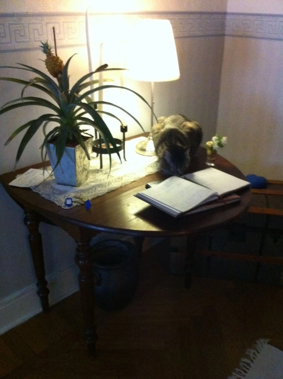 Eklanda Bed & Breakfast