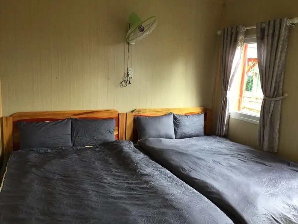 Degree 29 B Hostel