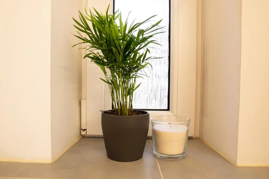 FULL HOUSE Studios - Blue Apartment - NETFLIX, WiFi inkl