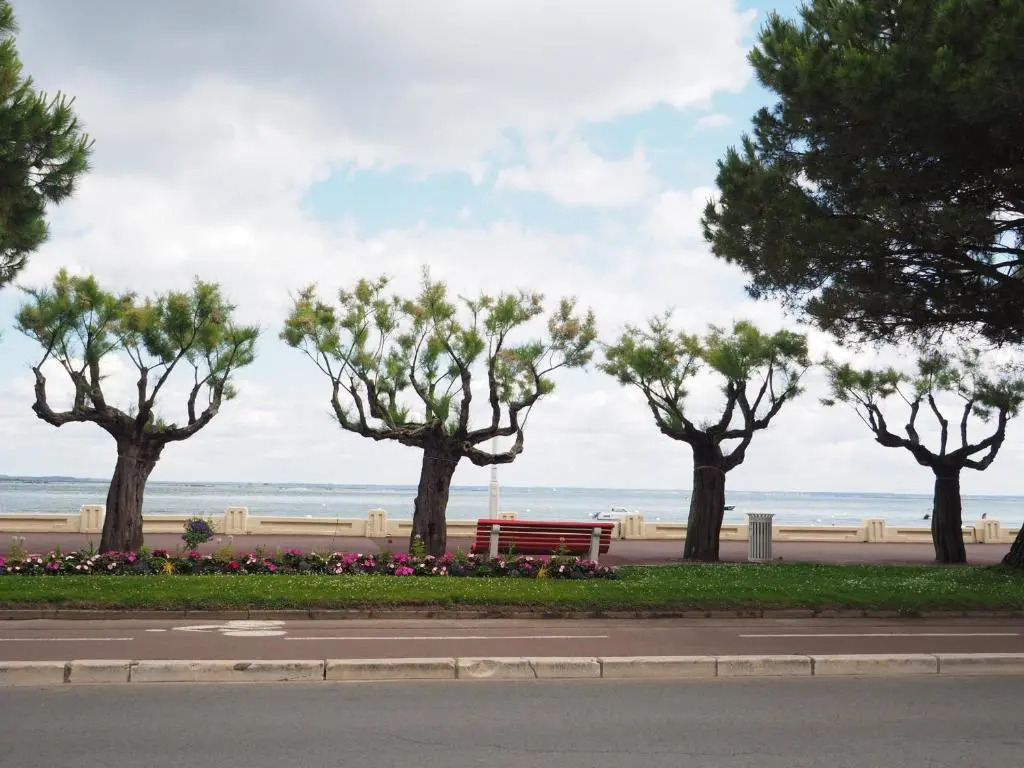 Appartement Arcachon, 3 pièces, 6 personnes - FR-1-474-97